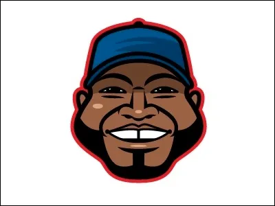 Big Papi baseball david ortiz mlb