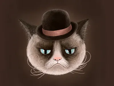 Grumpy Cat cat grumpy grumpycat