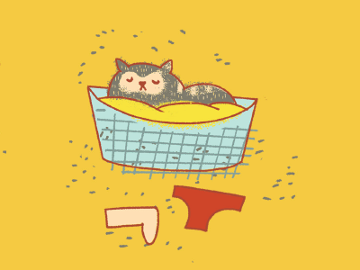 Cat in a laundry basket