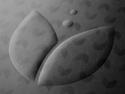 Corporate Identity corporate identity cosmetics emboss