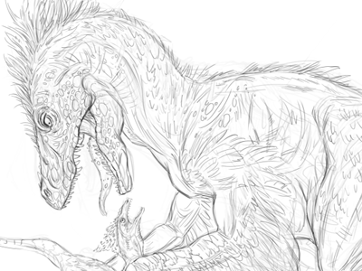 Dromaeosaurus - Sketch dinosaur dromaeosaurus mantle prey