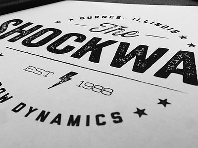 Vintage Roller Coaster T-Shirt Screen gurnee illinois roller coaster screenprint tshirt type typography