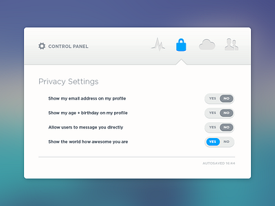 Privacy Settings app control panel settings ui user interface widget