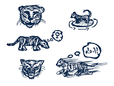drawings of tiger cat draw hand sketch tiger