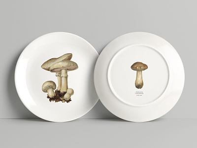 fungi-vintage-illustrations-by-graphic-goods-02-.jpg