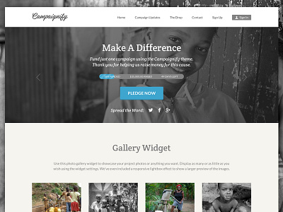 Campaignify Charity Theme Example charity crowd funding crowd sourcing crowdfunding donations easy digital downloads ecommerce fund raising funding fundraising indiegogo kickstarter responsive wordpress