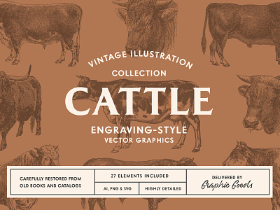 Cattle - Vintage Illustration Set