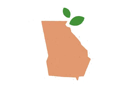 Georgia Peach georgia leaf peach texture