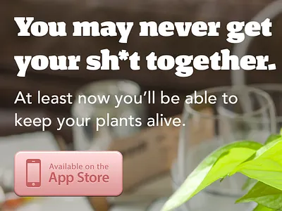 Coming Soon... app avenir ios marais