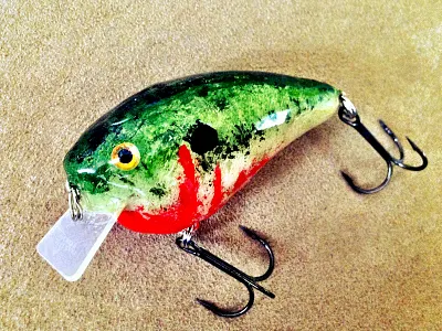 Lure fishing lure