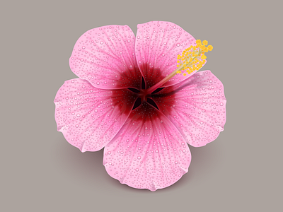 Mac OS icon flower hawaii hibiscus hibiscus flower icon mac os icon pink pink flower red flower