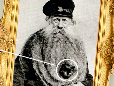 This cat advertising beard beardvertising