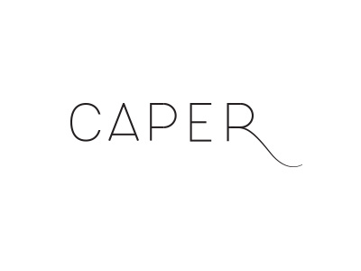 wip branding lettering logo