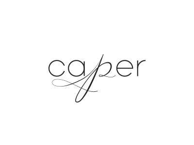 wip branding lettering logo