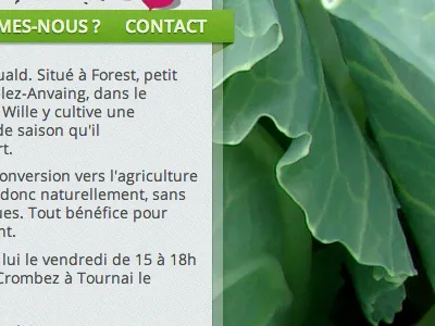 Simple webdesign css hd photo texture