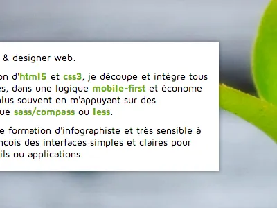 A bit of flatLand! css simple ui website
