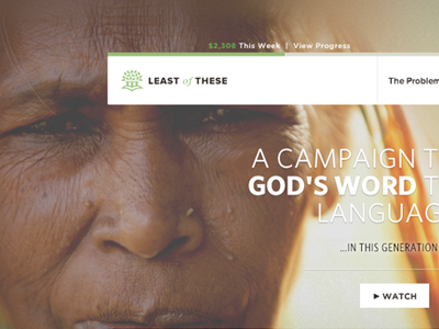 The Seed Company - Least of These campaign