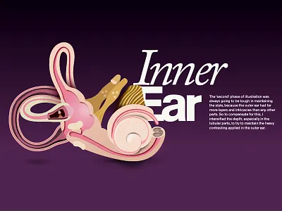 Case Study Snippet bj2013 case study ear portfolio