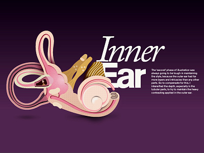 Case Study Snippet bj2013 case study ear portfolio