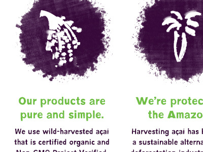 Tambor Acai Icons acai icons illustration splatter