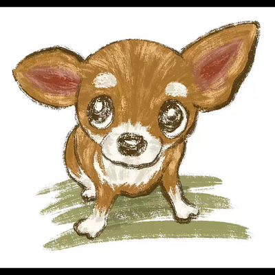 Adorable Chihuahua animal character design chihuahua dog illustratin pet