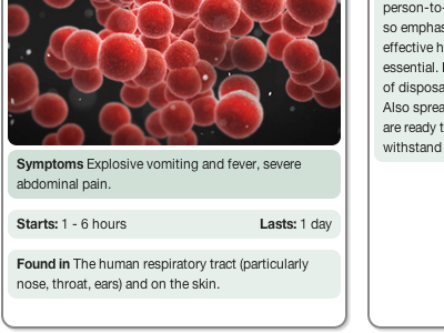 Bacteria 2