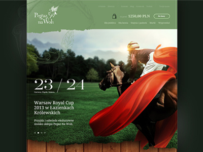 Pegaz na Woli challenge challenge studio dawid skinder dawidskinder design e commerce ecommerce horse horsemanship layout online store poland riding skinder sport store web webdesign zabrze