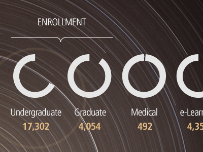 pie chart infographic clean enrollment graph infographic school university