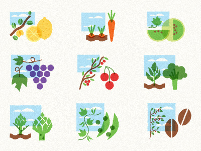 Organic Stuff food fruit illustration veggies