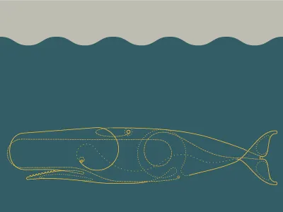 Water bound wanderer sea whale