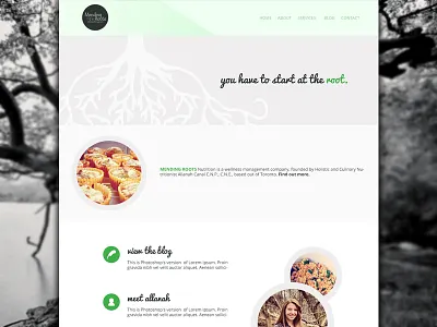 Mending Roots holistic nutrition