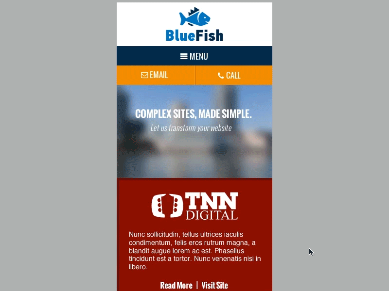 Blue Fish - Mobile form mobile navigation testimonials web website
