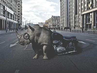 Rhino Bike Composite composite design edit image motorcycle photo manipulation photoshop poster print rhino