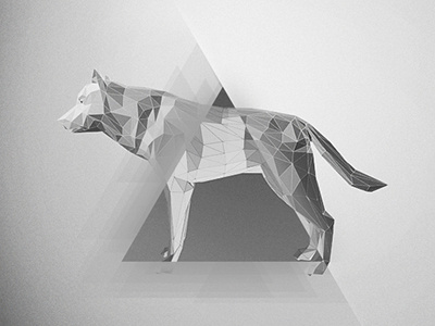 Low Poly Wolf animal branding cinema4d geometric lowpoly minimal monochrome