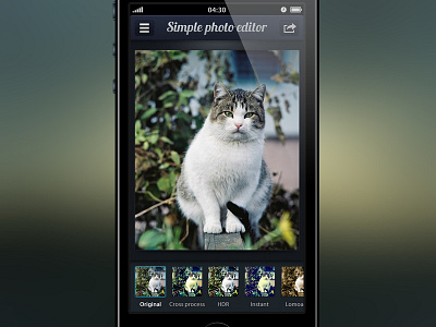 Photo filters screen app application black dark design editor filters interface ios iphone mobile photos pics ui