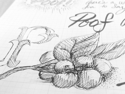 I dabble in doodling. cross hatch design doodle drawn grape hand illustrate illustration ink p pen poof sketch vine