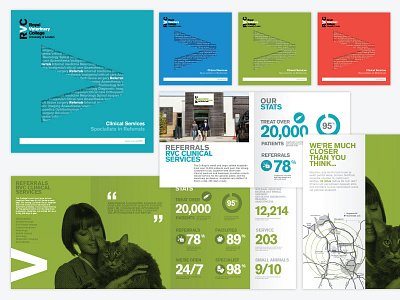 Layout development brochure / infographics (Vet practice) 2 brand branding brochure chart colour palette data visualization die cut graphic design info graphics infographics layout multiply print stats tone