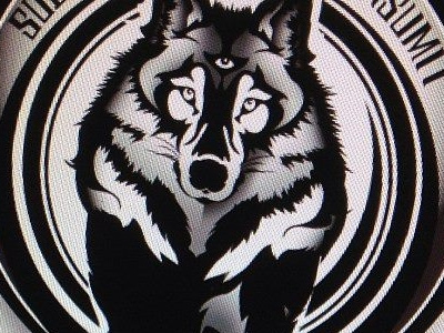 Tattoo WIP 1 design illustration tattoo wolf