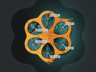 Hive Diagram brand chart cross section cutaway illustration method