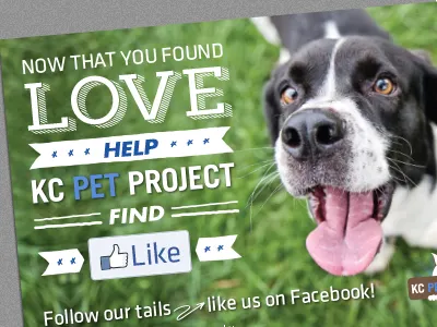 KC Pet Project Postcard dog postcard