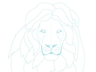 Lion illustration lion sketch