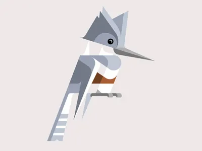 Belted Kingfisher art belted bird brill design illustration josh kingfisher lumadessa print