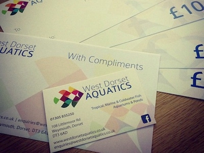 West Dorset Aquatics branding fish logo