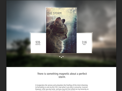 The Storm (A Story) article blur cat css3 flat html5 minimal simple web