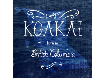 KOAKAI SUPPLY CO. art branding design drawn grunge hand illustration logo photography texture typography