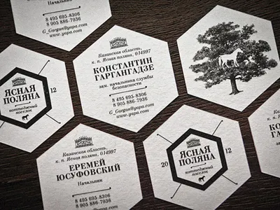 Yasnaya Plyana residential complex brand branding identity