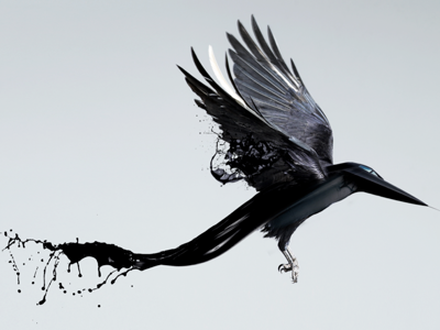 C R O W crow liquid liquify phantom plane
