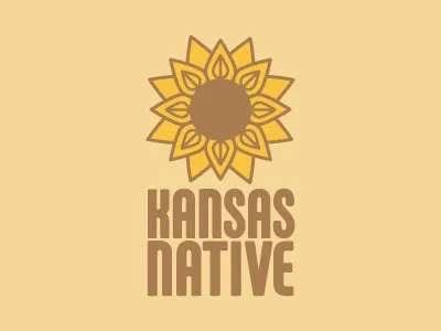 Kansas Native brown flower kansas native sunflower type yellow