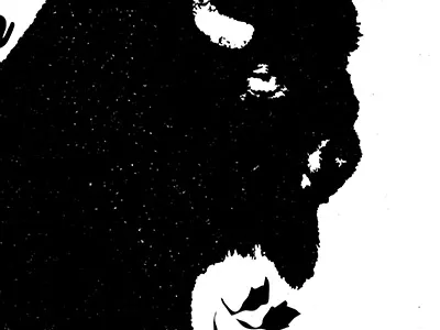 Buffalo buffalo texture