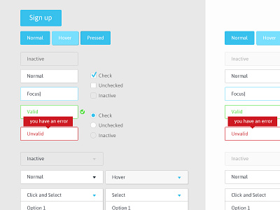 Gui blue buttons clear error fields flat forms gui